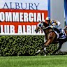 Tips and race-by-race guide for Albury on Tuesday