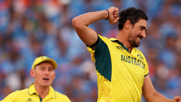 Mitchell Starc celebrates a wicket in the World Cup final.