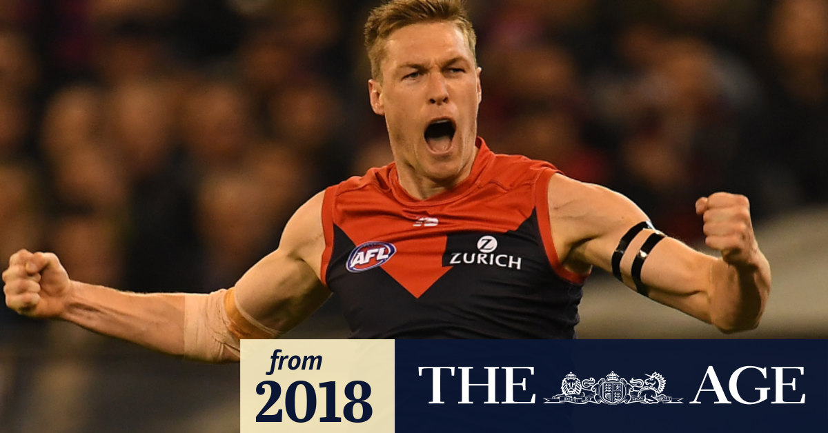 Dees Come Out Swinging Send Cats Packing