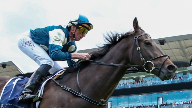 Race-by-race tips and preview for Randwick on Saturday