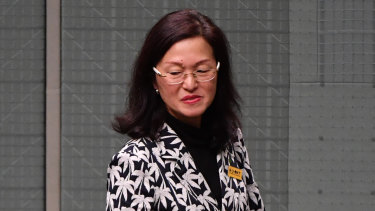 Gladys Liu in Parliament last week.  