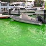 Neon green water was spotted in the harbour at Kirribilli on Wednesday.
