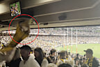 Food is thrown by a Hawthorn fan.