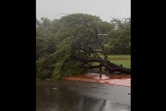 Minor damage was caused by falling trees.