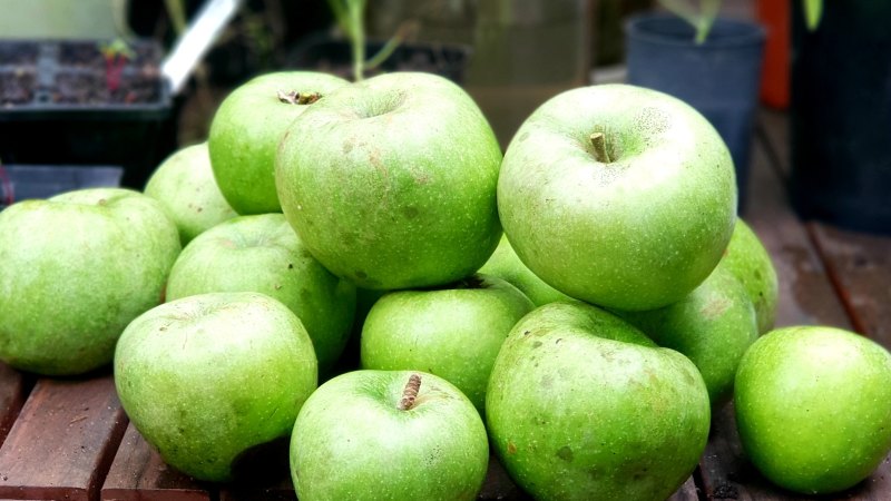 Fresh Granny Smith Apples