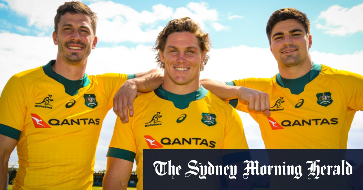Bledisloe Cup Tests 2020 Wallabies All Blacks Lock In October Bledisloe Cup Dates