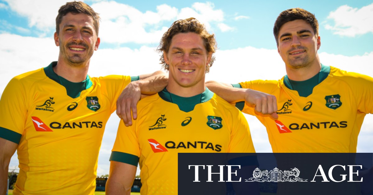 Wallabies All Blacks Lock In October Bledisloe Cup Dates Rugby Addict