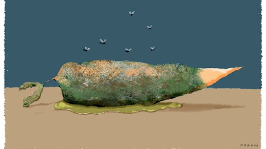 Coalition and Labor show dangerous complacency before budget