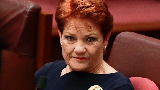 Senator Pauline Hanson during debate in the Senate at Parliament House in Canberra on Thursday 14 February 2019. fedpol Photo: Alex Ellinghausen