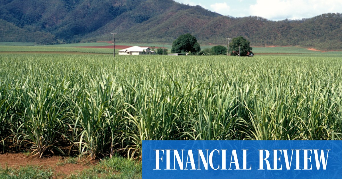 Global buyers sweet talk Bundaberg Sugar, owners start $600m auction - Vimarsana News