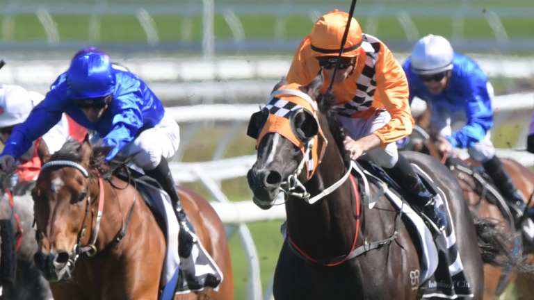 Real deal: Ace High sprints strongly to win the Hill Stakes.