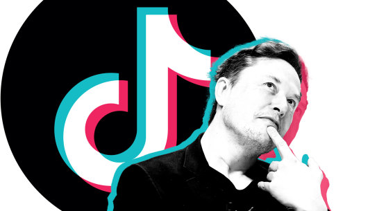 Elon Musk and TikTok