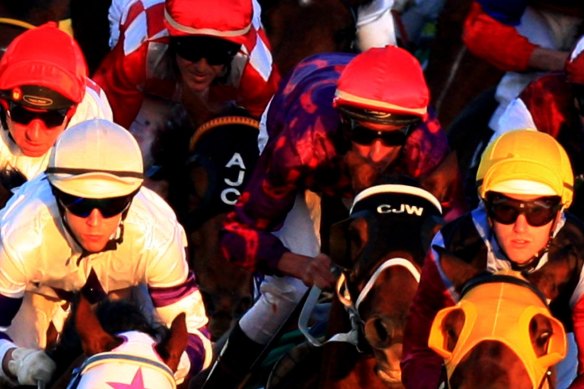 There are plenty of options for punters on an eight-race card at Muswellbrook on Tuesday.
