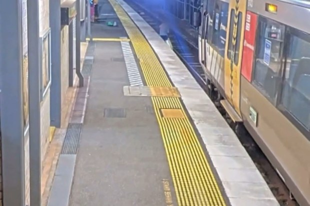 Dog owner cheats death after chasing pet onto railway tracks | Nine.com.au