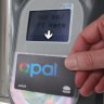 Public transport savings for commuters and seniors as cut to weekly Opal fare cap kicks in