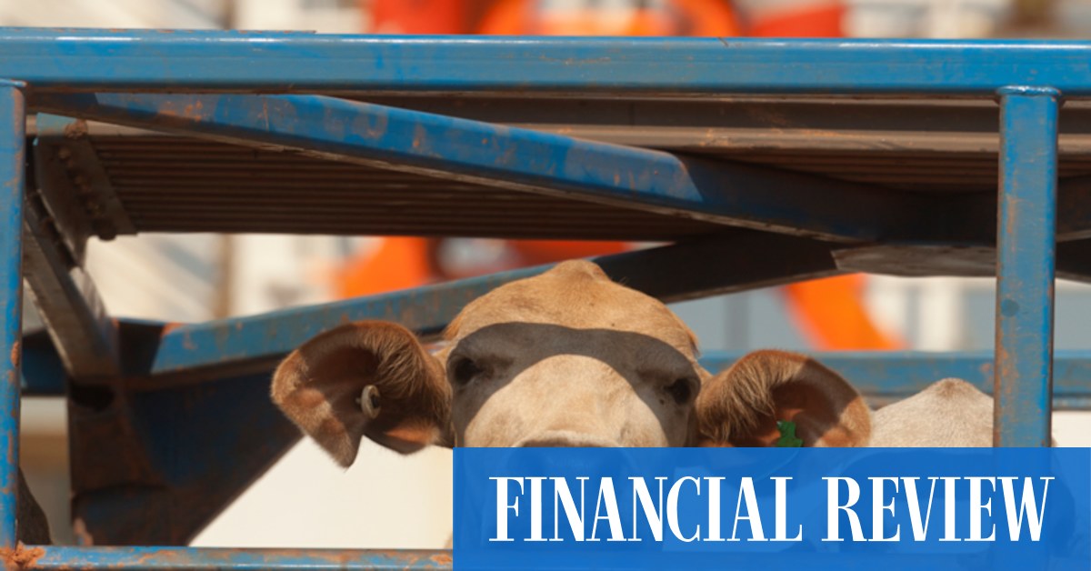Live export Federal Court legal case: Retiring judge Steven Rares lashes class action - Vimarsana News