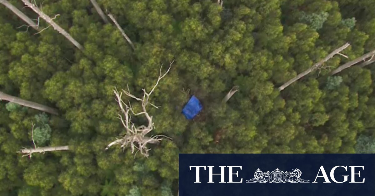 Mount Disappointment helicopter crash investigation enters third day as loved ones mourn - Vimarsana News