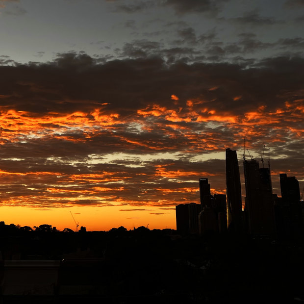 Despite councils doing their best to manage urban heat, experts say there needs to be more co-ordination from all levels of government if Sydney’s residents are  going to survive the climate crisis. 