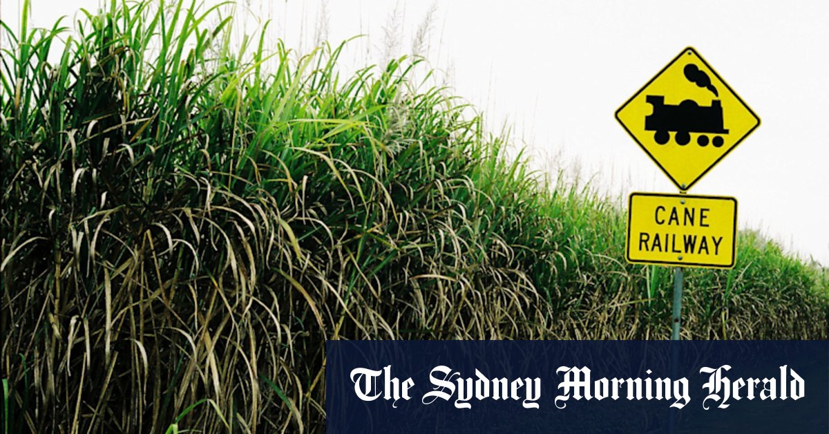 Waste is the new oil: Why Australia’s next big export industry may be rubbish