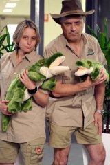 Professor Matthew Rockloff and Nancy Greer won an Ig Nobel for their study on how holding a crocodile affects people's gambling habits.