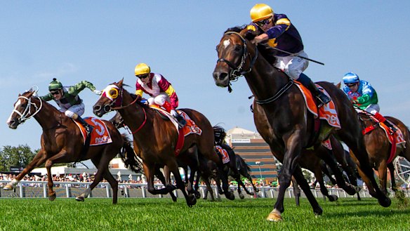 Fierce Impact, running second to Alabama Express in the CF Orr.