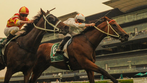 Asharani, pictured here winning at Randwick in December, is top pick for the Provincial Championship Qualifier.