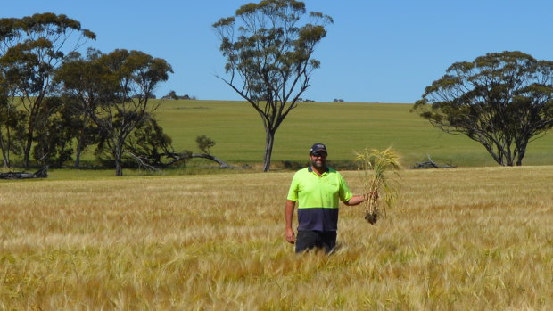 Julian McGill from Bolgart has offered to donate a huge amount of feed to drought-affected farmers in the east.