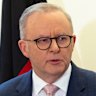 Albanese accused of appeasing Trump with move to allow US beef