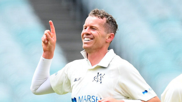 Peter Siddle is back in Test contention after his excellent form in the Sheffield Shield.