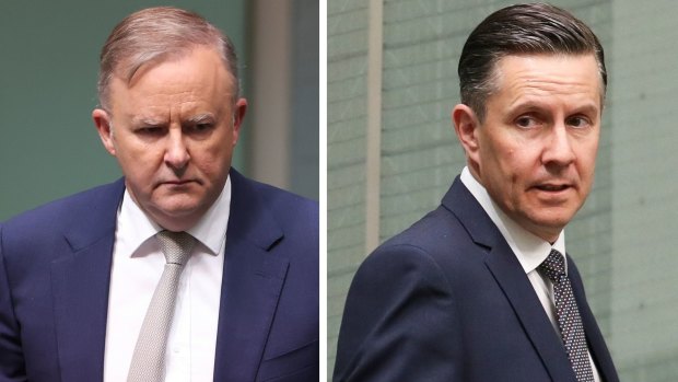 Federal Labor leader Anthony Albanese is set to demote MP Mark Butler.