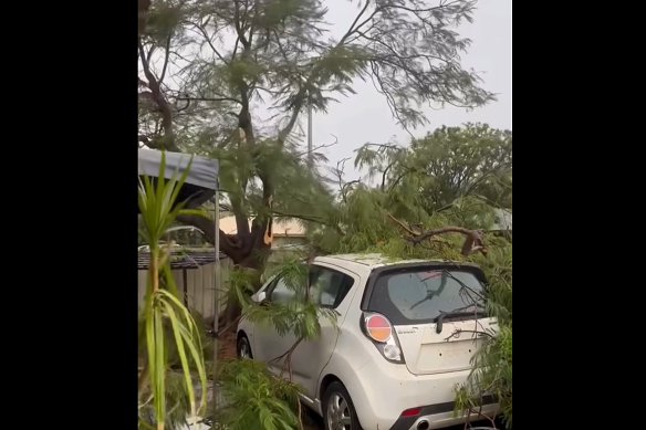 Minor damage was caused by falling trees.