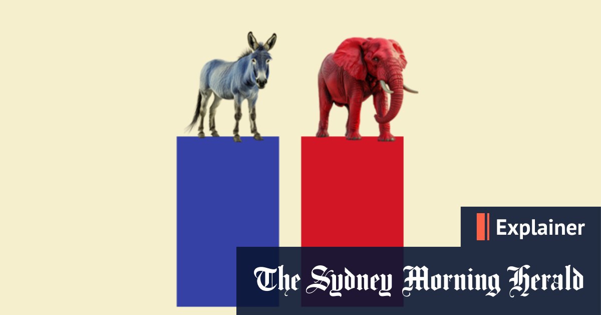 US election polls 2024 What’s the point of them?