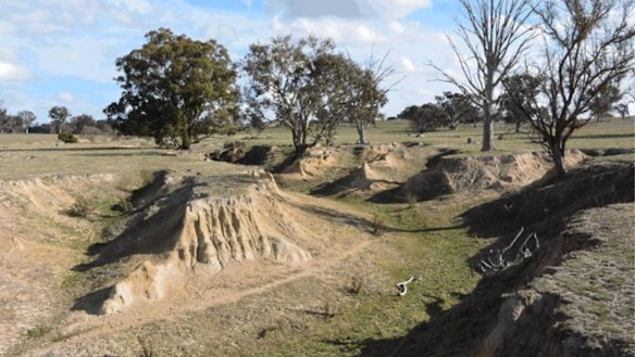 A photo from a surveyor's report to council of part of the gully at 354 Kaveneys Road, to be filled with clean fill.