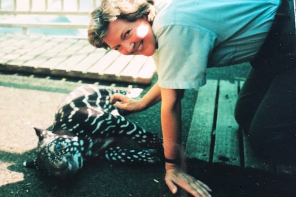 Looking after a young Malayan tapir in 1998.