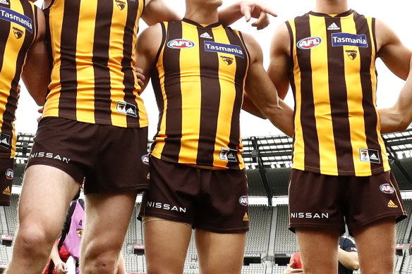 The terms of reference have been released for the panel investigation claims of racism at Hawthorn.