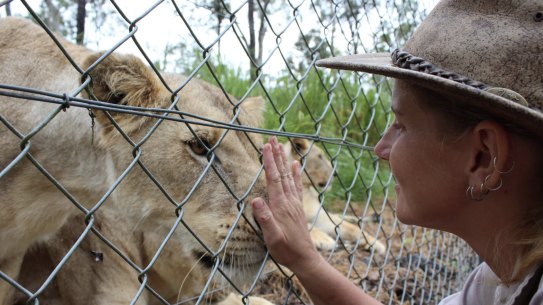 Pray for her': Tributes pour in for zookeeper following lion attack