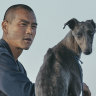 There are 200 dogs in this film, but only one went home with the star