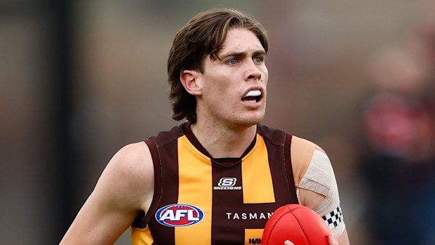 Hawks star Will Day will be out of action until the mid-point of the season.