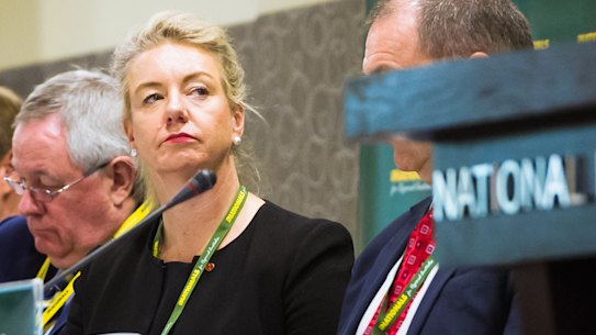 Agriculture Minister Bridget McKenzie says food labelling should "call things what they are".  