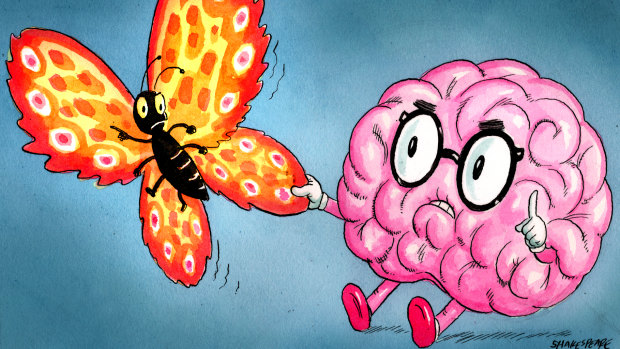 Listen to those butterflies in your gut - or follow your head?