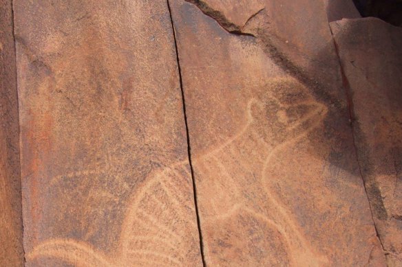 Rock carvings on the Burrup Peninsula, near Karratha, Western Australia, includes this image of the extinct thylacine, or Tasmanian tiger.