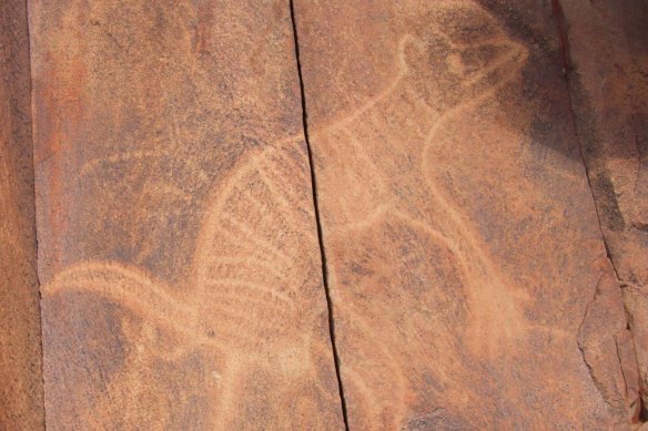 Rock carvings on the Burrup Peninsula, near Karratha, Western Australia, includes this image of the extinct thylacine, or Tasmanian tiger.
