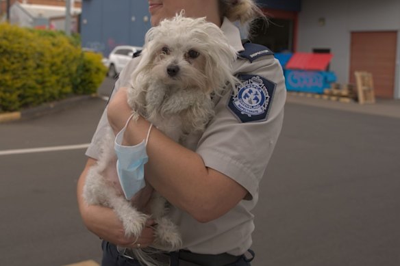 Workers affected by the underpayment include current and former veterinary, administration, retail and cafe staff.