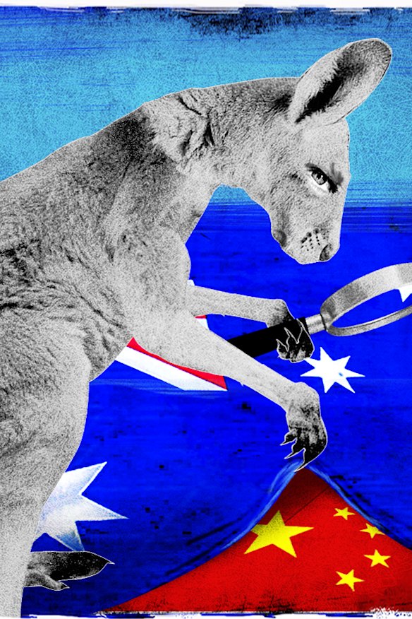 Illustration: Dionne Gain