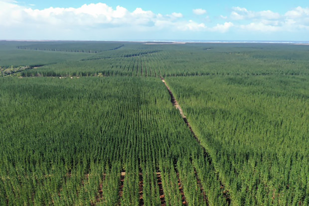 Australia’s climate challenge: Decarbonisation lures investors to ...