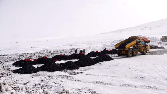 Tigers Realm Coal, which operates in Russia, has launched legal action against DFAT.