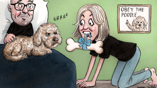 Positive association is the key, so only giving a pet their favourite food or treat (or games or toys) when the new partner is around.  