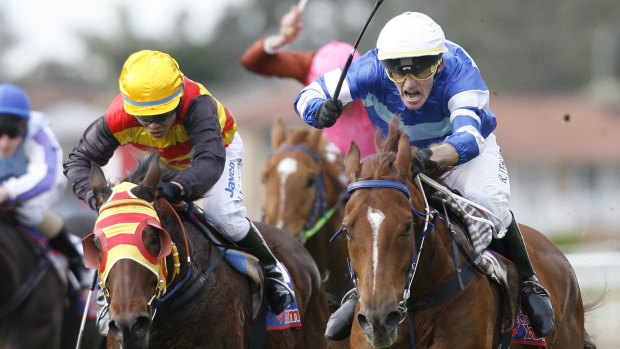 Eight-race card: Racing is back in Port Macquarie on Monday.