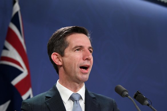 Trade Minister Simon Birmingham believes "overwhelmingly commercial undertakings between countries" should  "focus on commercial realities.