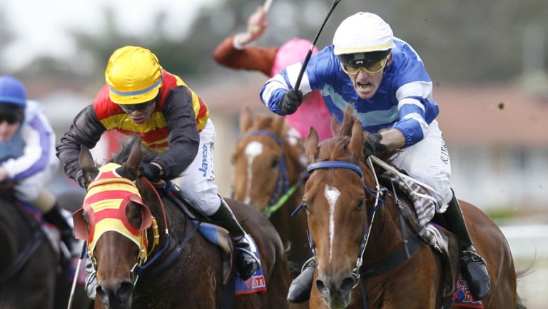 Eight-race card: racing is back in Port Macquarie today.